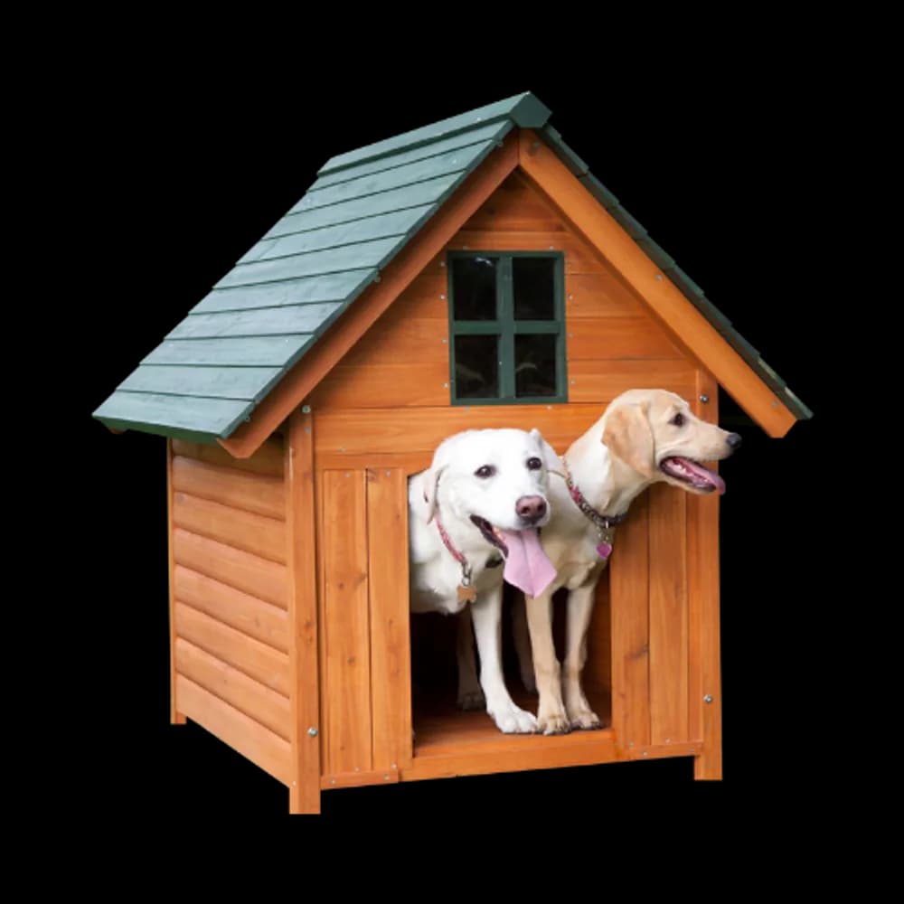 Two dogs relaxing in a cozy doghouse